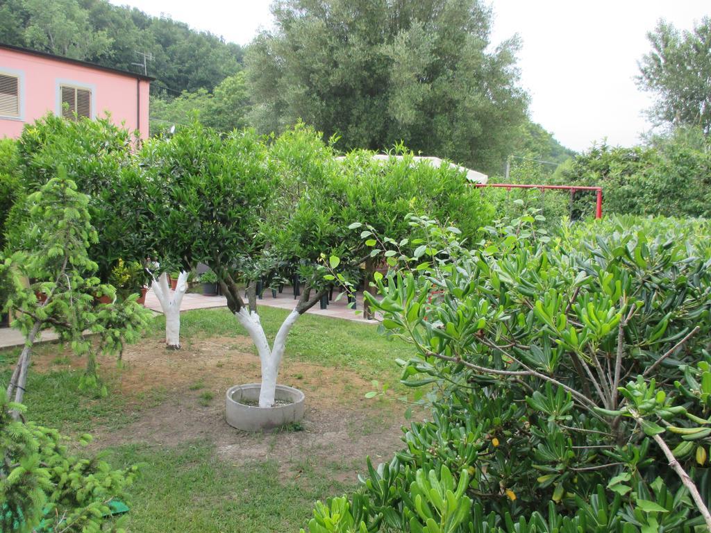 Palinuro Casa Vacanze "Donna Antonia" Dış mekan fotoğraf